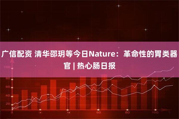 广信配资 清华邵玥等今日Nature：革命性的胃类器官 | 热心肠日报