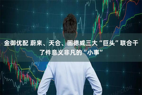 金御优配 蔚来、天合、固德威三大“巨头”联合干了件意义非凡的“小事”