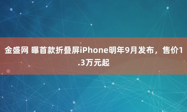 金盛网 曝首款折叠屏iPhone明年9月发布，售价1.3万元起