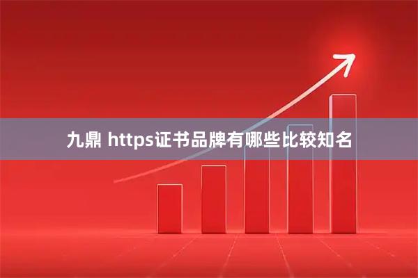 九鼎 https证书品牌有哪些比较知名