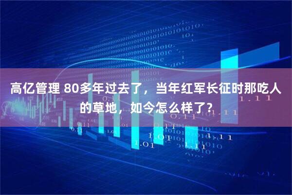高亿管理 80多年过去了，当年红军长征时那吃人的草地，如今怎么样了？